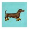Stupell Industries Funny Dachshund On Roller Skates Canvas Wall Art